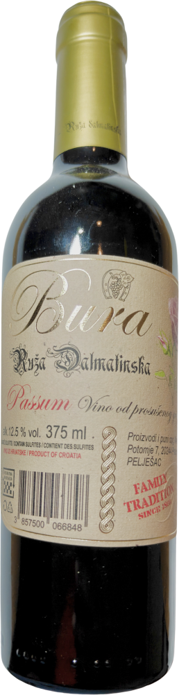 Ruža Dalmatinska 2022